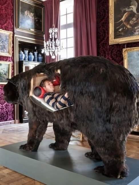 The meme is a humorous image of a person sitting inside a bear's body, with the bear's head and body made of a giant, furry, and fluffy bear costume. The text "I can smell the desperation" is overlaid on the image, suggesting that the person inside the bear is trying to escape or is in a difficult situation. The image is a playful and absurd take on the idea of being trapped or overwhelmed.